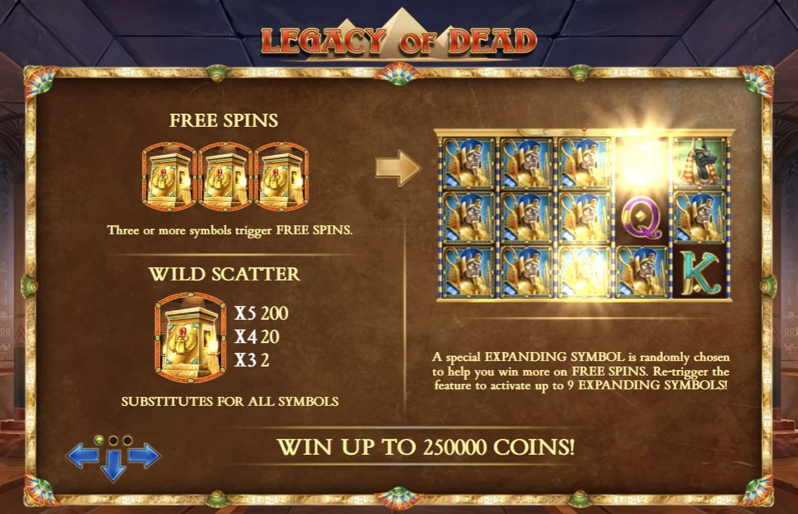 Legacy of Dead میں free spins bonus کے دوران expanding symbol پوری reels cover کرتے ہوئے